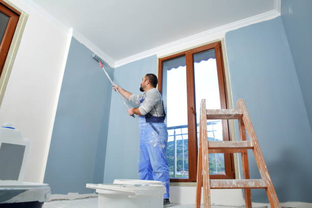 Best Black Mold Removal  in Baraga, MI