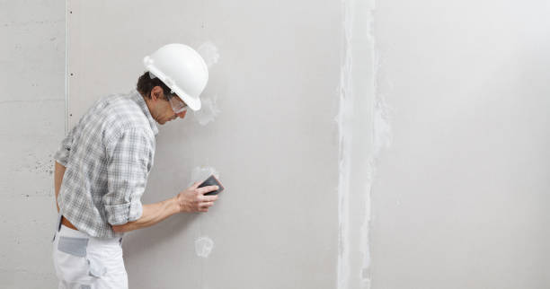 Best Air Quality Testing for Mold Spores  in Baraga, MI
