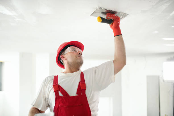 Best Post-Remediation Verification Testing  in Baraga, MI